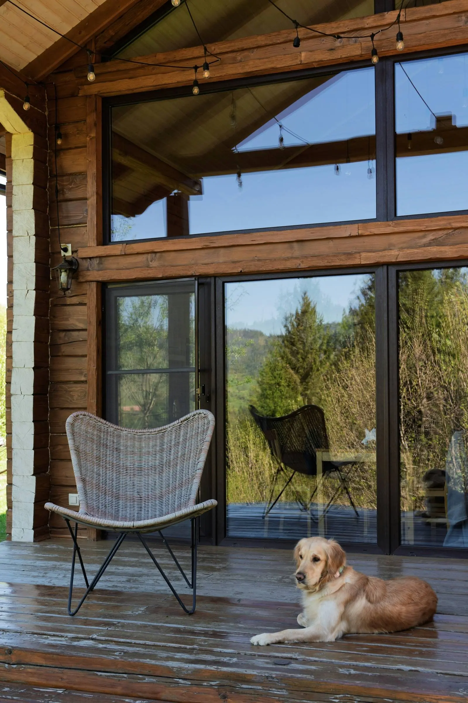 Un chien détendu sur la terrasse en bois de la maison de ses maîtres